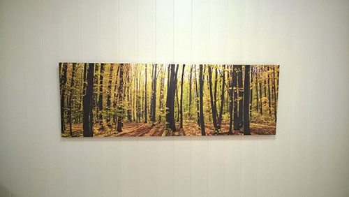 Con cuadros a nuestra altura.